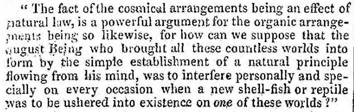 Original Newspaper Clipping